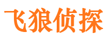 费县侦探公司